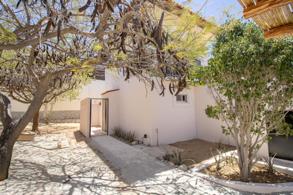 My Cabo Realtor  for sale