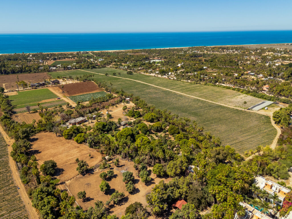 Transpeninsular, San Jose Corridor, BS | Los Cabos For Sale